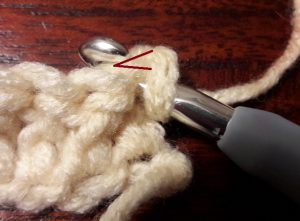 Insert the hook in the first stitch