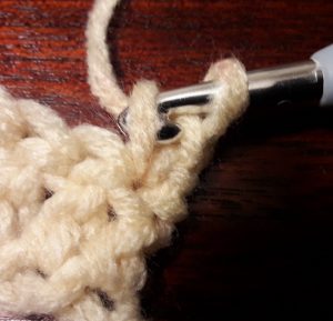 Insert hook into sideloop of single crochet