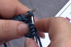 03 Row 1b 10 knit next stitch