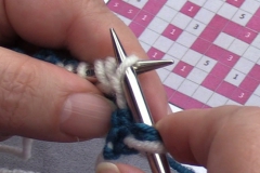 06 Row 3a 06 slip fourth stitch