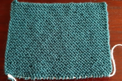 Sample in garter stitch